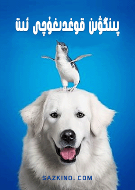 پىنگۋىن قوغدىغۇچى ئىت