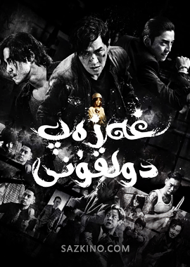 غەزەپ دولقۇنى