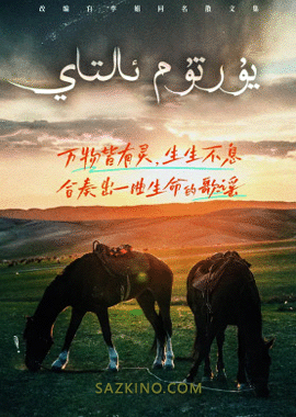 يۇرتۇم ئالتاي