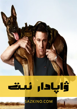 ۋاپادار ئىت